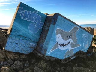Requin – Blonville sur mer 2018